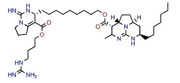 Dinorbatzelladine A